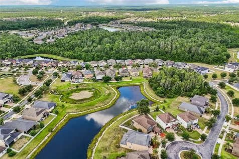 19417 Paddock View Drive Tampa FL 33647
