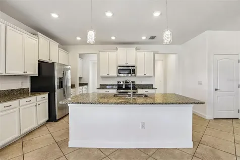 19417 Paddock View Drive Tampa FL 33647