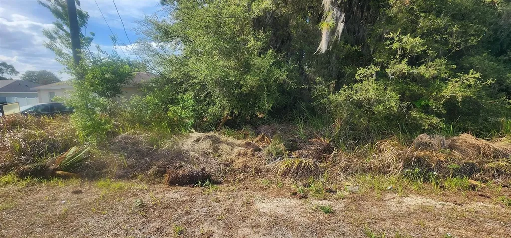 Lot 19 Dogwood Drive Loop Ocala FL 34472