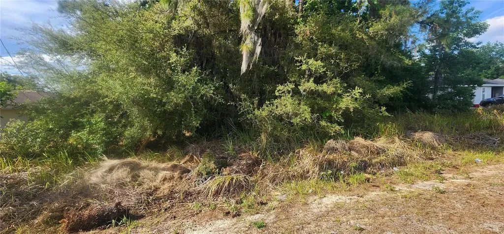 Lot 19 Dogwood Drive Loop Ocala FL 34472