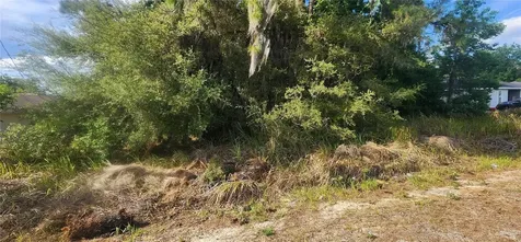 Lot 19 Dogwood Drive Loop Ocala FL 34472