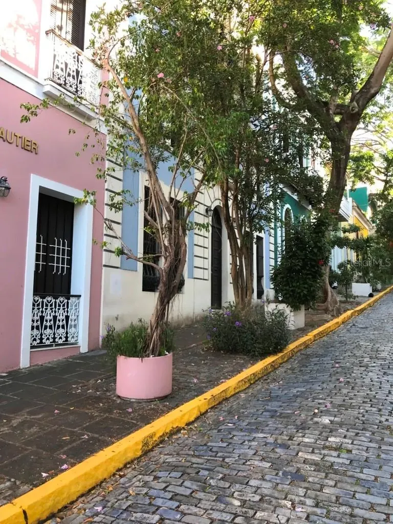 53 Caleta Street San Juan PR 00901