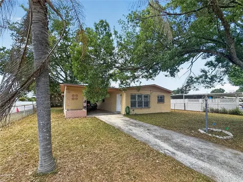 6202 N Hale Avenue Tampa FL 33614
