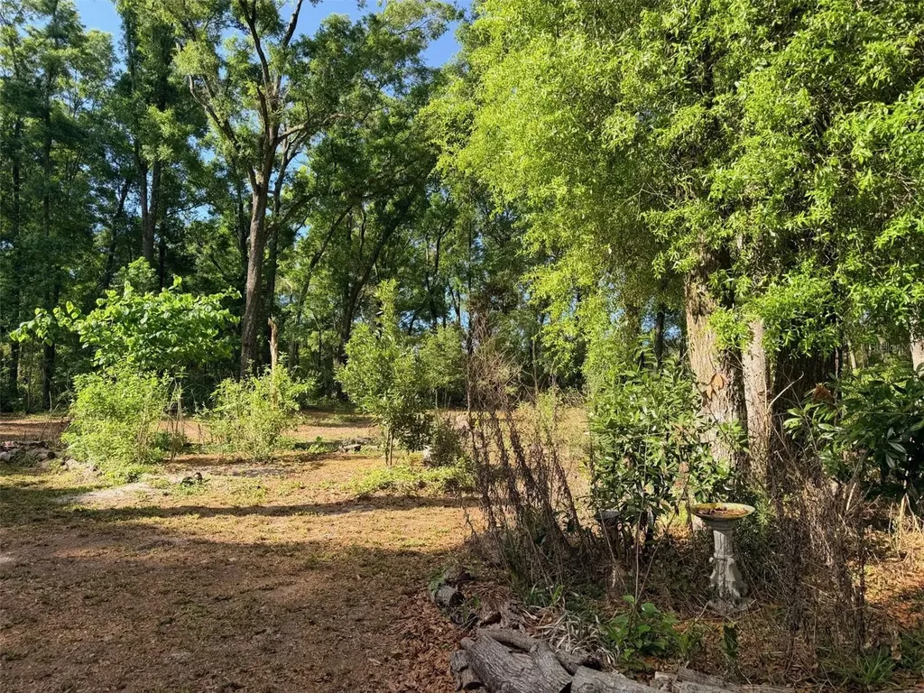 14790 NW 72nd Court Chiefland FL 32626