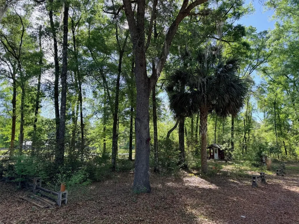 14790 NW 72nd Court Chiefland FL 32626