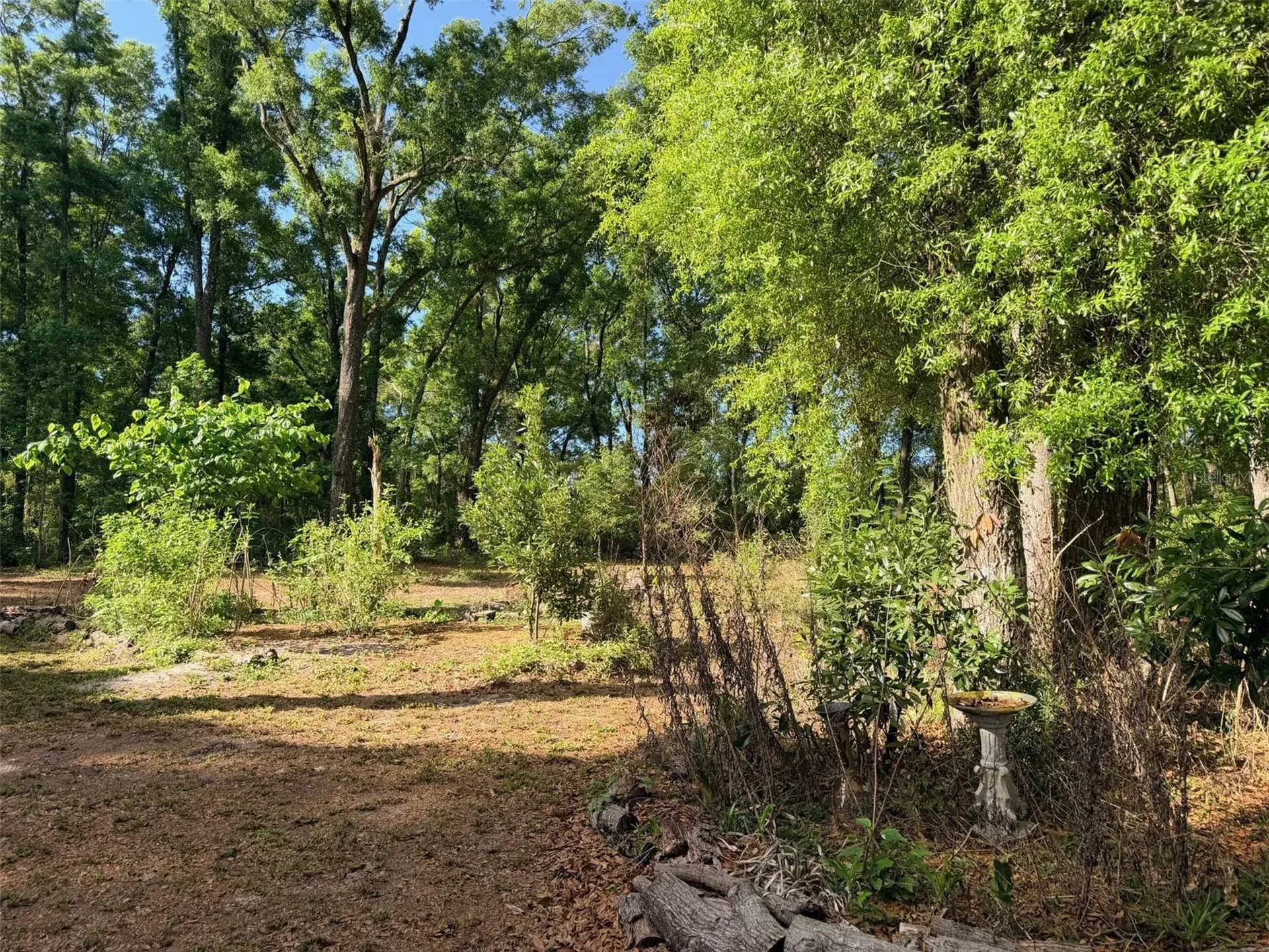 14790 NW 72nd Court Chiefland FL 32626