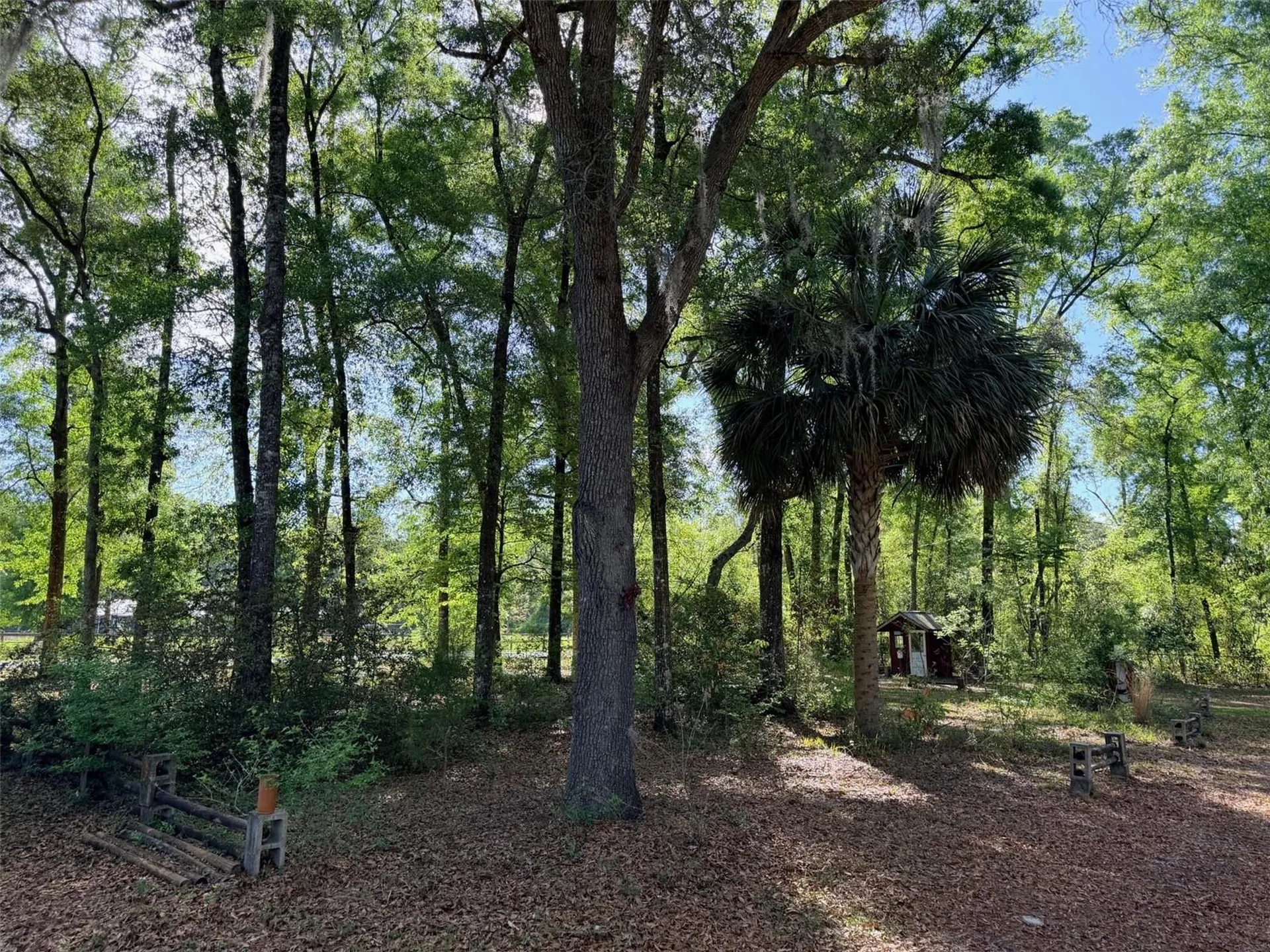 14790 NW 72nd Court Chiefland FL 32626
