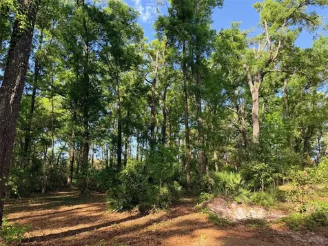 14790 NW 72nd Court Chiefland FL 32626