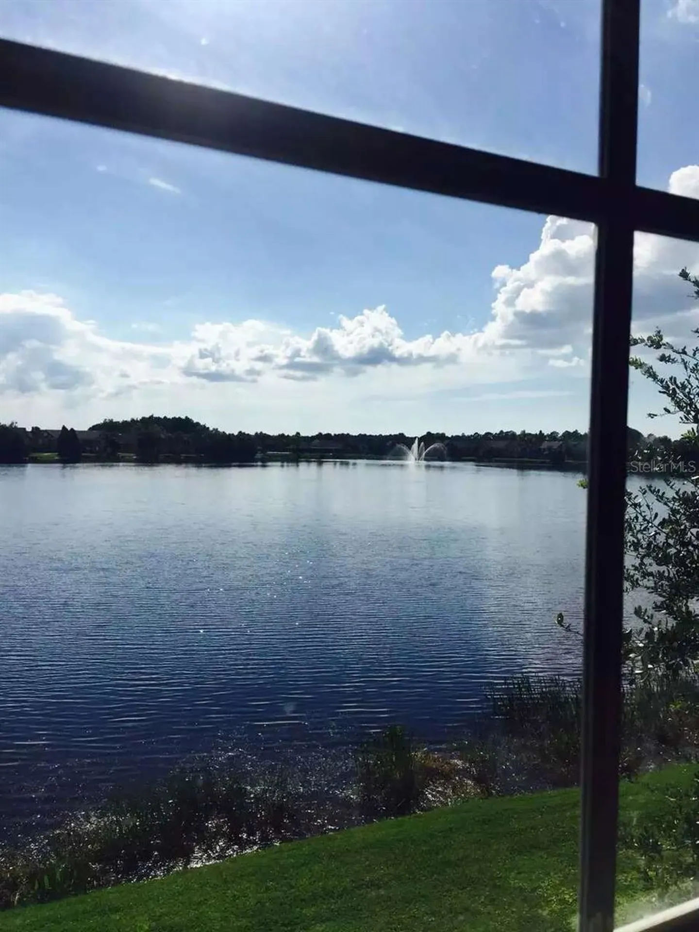 9020 Lake Chase Island Way Tampa FL 33626