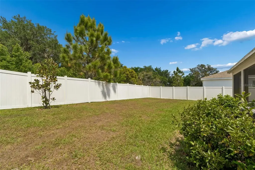 35977 Morse Willow Court Zephyrhills FL 33541