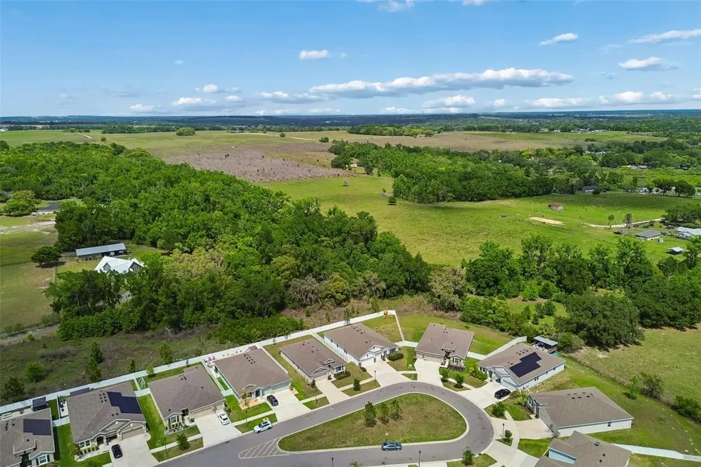 35977 Morse Willow Court Zephyrhills FL 33541