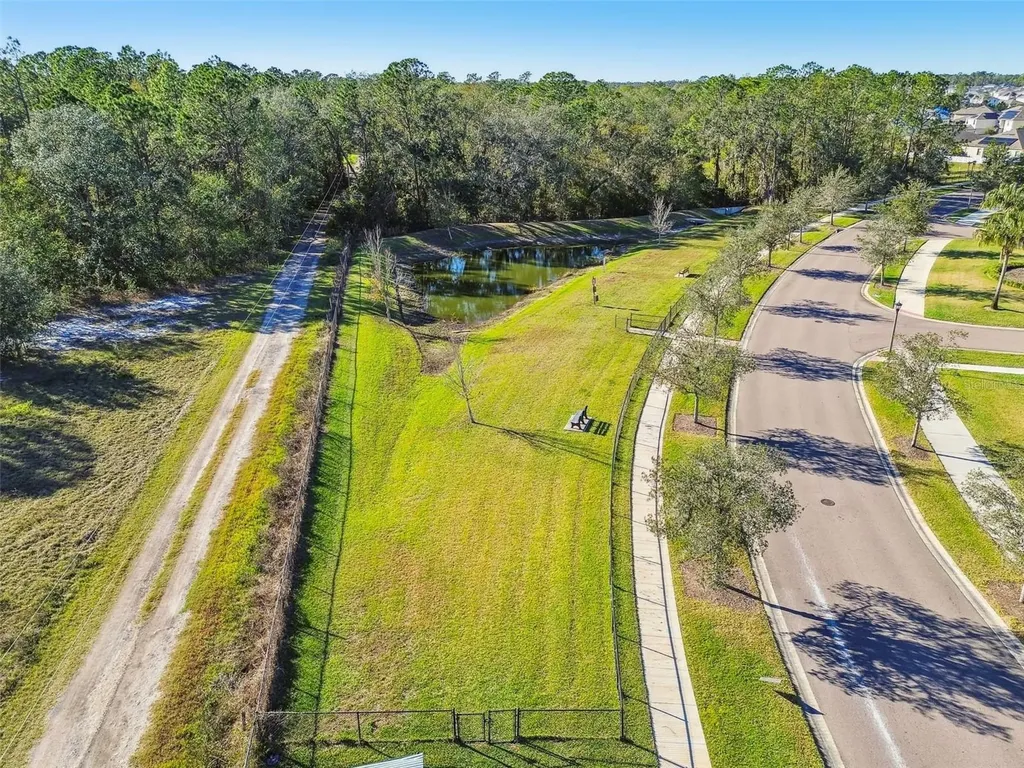 35977 Morse Willow Court Zephyrhills FL 33541