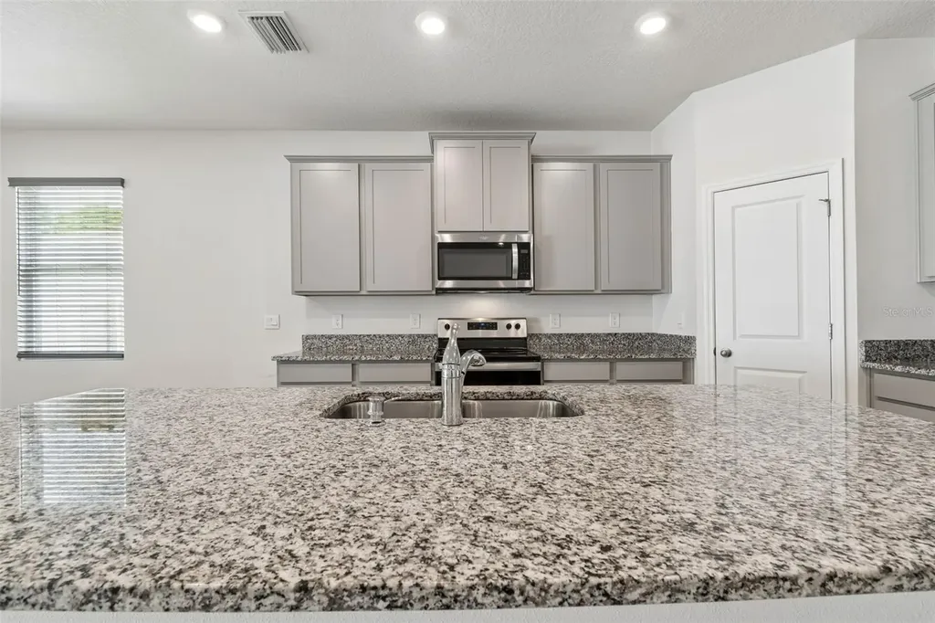 35977 Morse Willow Court Zephyrhills FL 33541