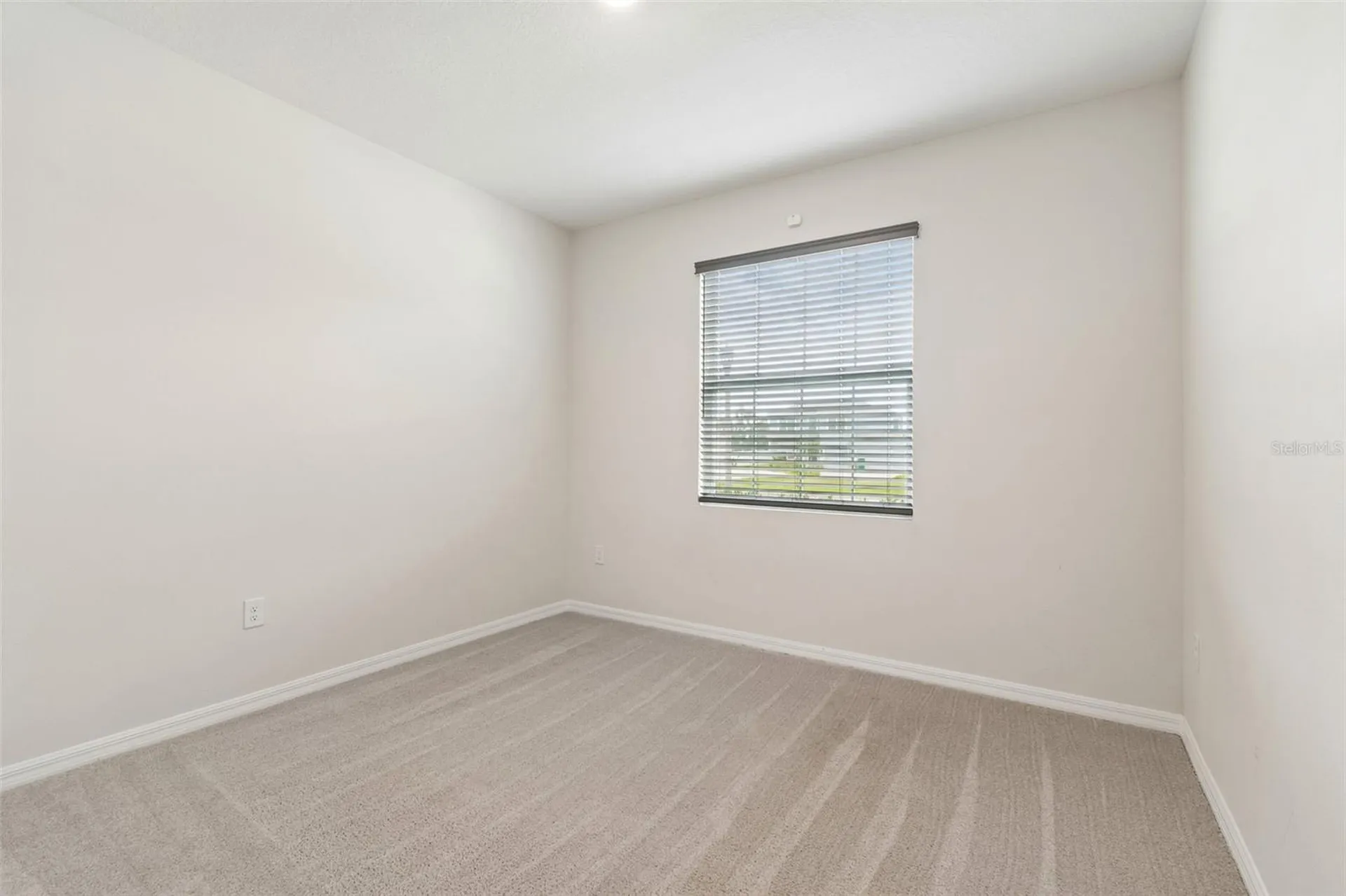 35977 Morse Willow Court Zephyrhills FL 33541