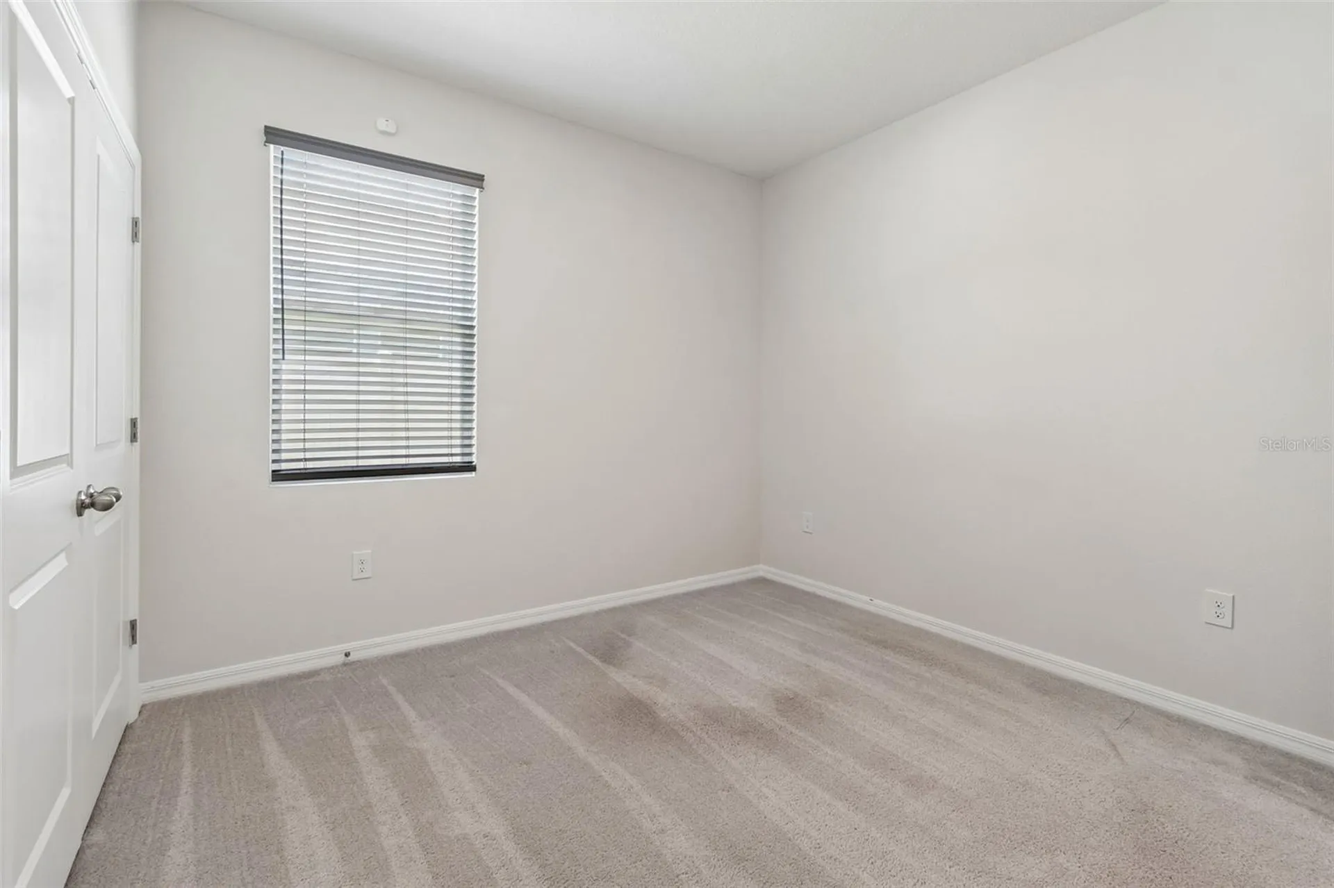 35977 Morse Willow Court Zephyrhills FL 33541