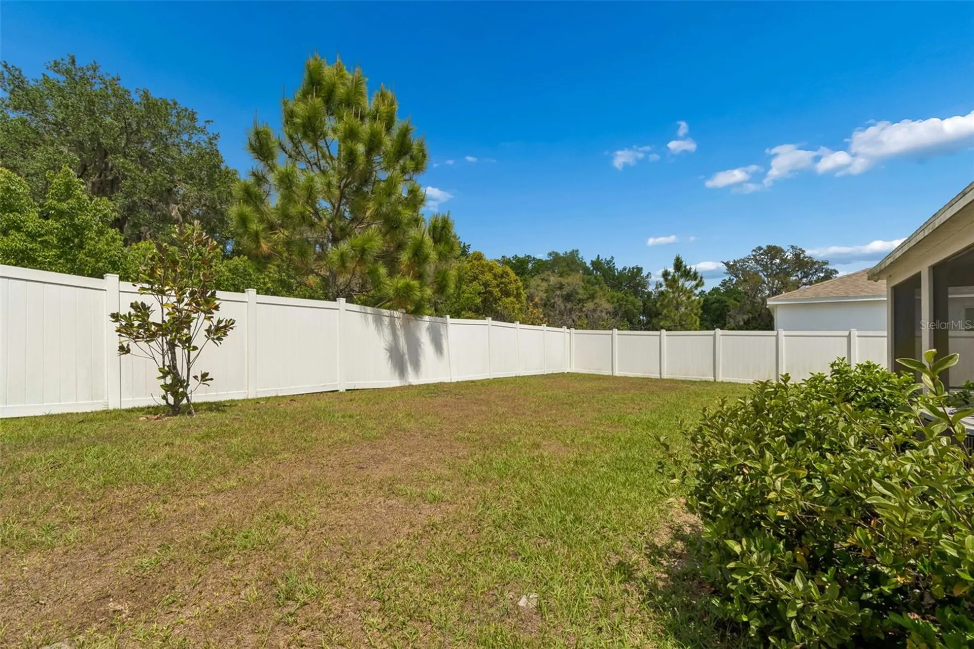 35977 Morse Willow Court Zephyrhills FL 33541