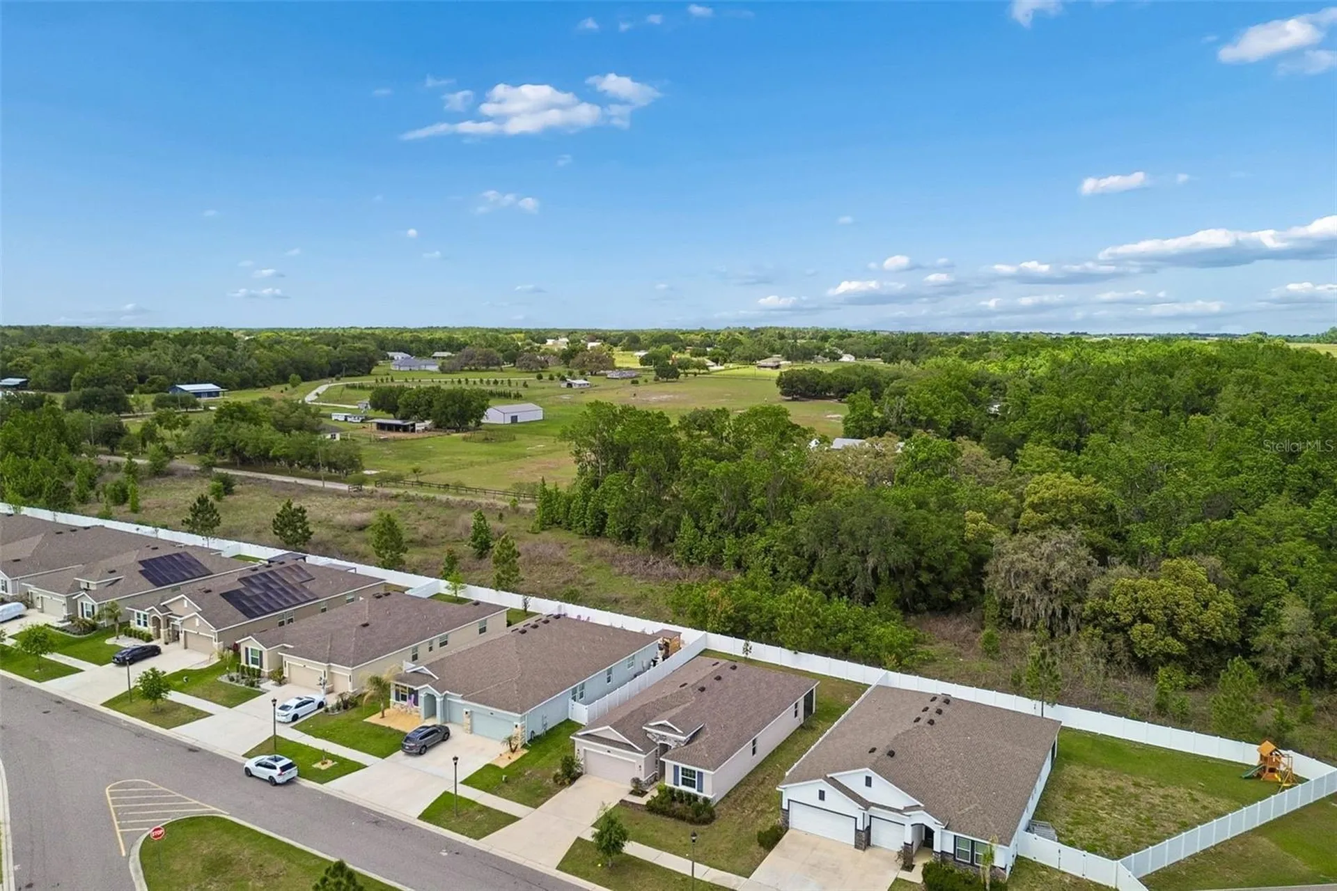 35977 Morse Willow Court Zephyrhills FL 33541