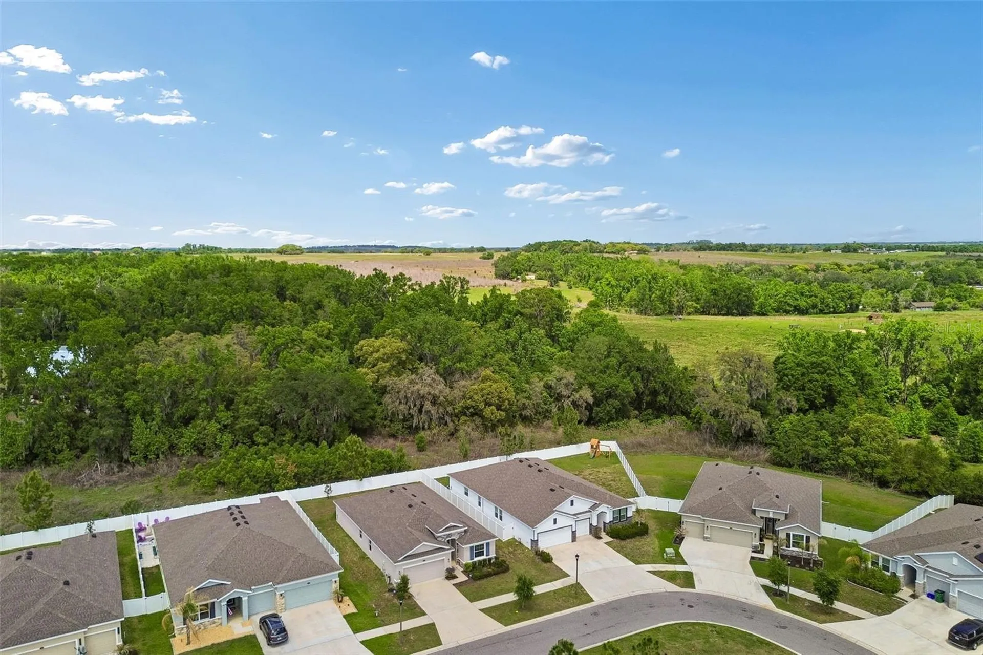 35977 Morse Willow Court Zephyrhills FL 33541