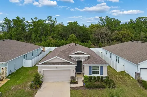 35977 Morse Willow Court Zephyrhills FL 33541