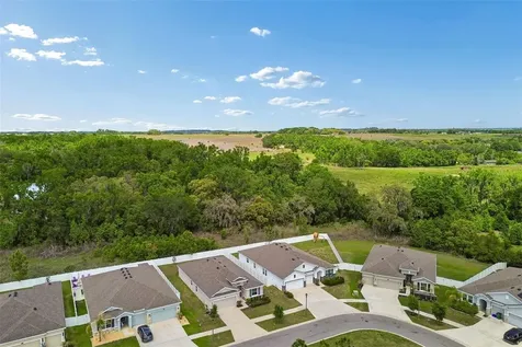 35977 Morse Willow Court Zephyrhills FL 33541