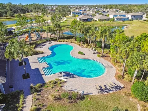 35977 Morse Willow Court Zephyrhills FL 33541