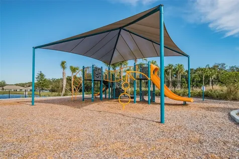 35977 Morse Willow Court Zephyrhills FL 33541