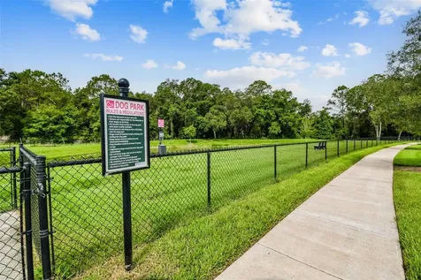 35977 Morse Willow Court Zephyrhills FL 33541