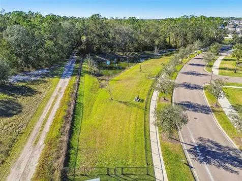 35977 Morse Willow Court Zephyrhills FL 33541