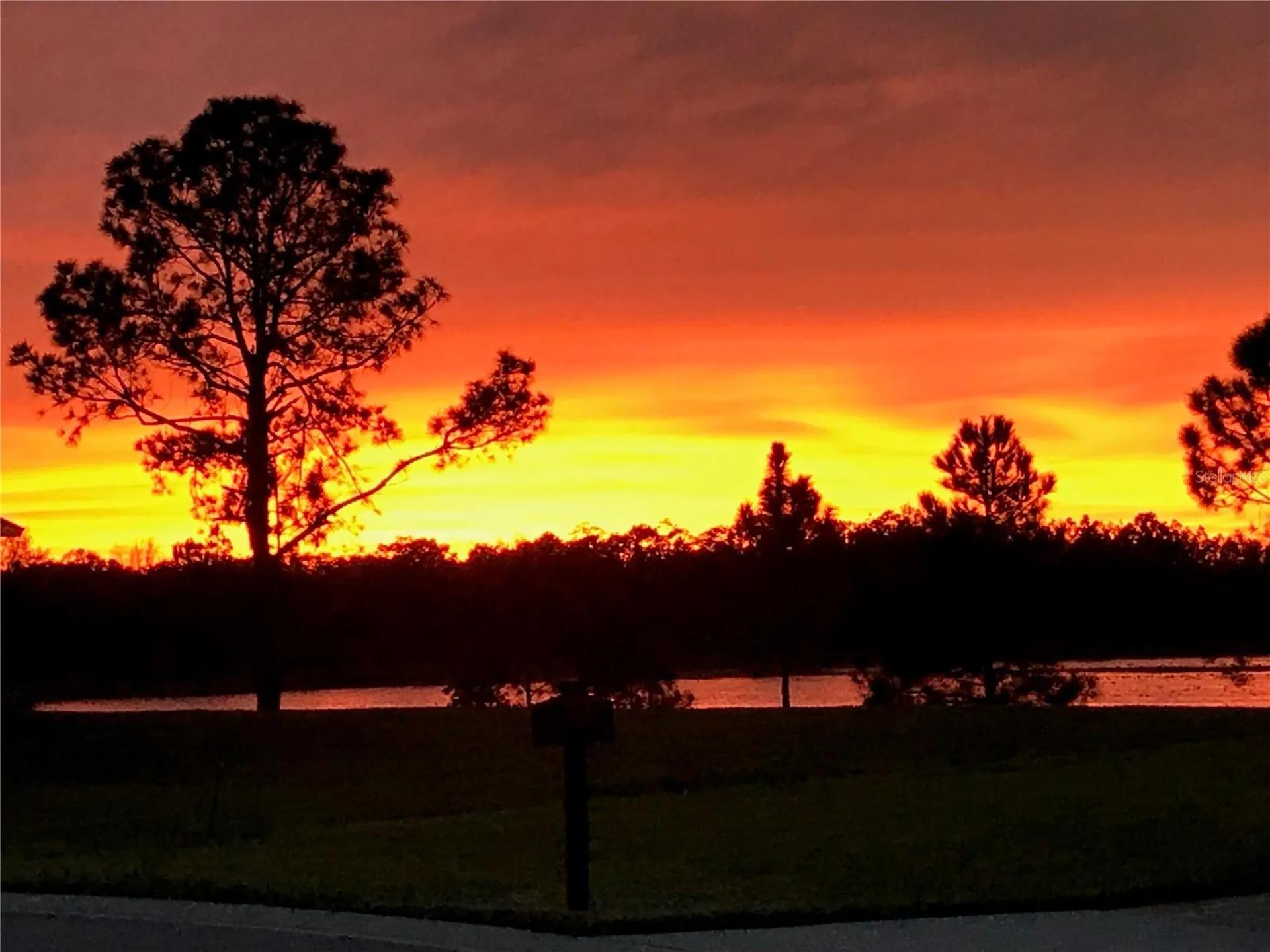 16114 Morning Dew Way Clermont FL 34714