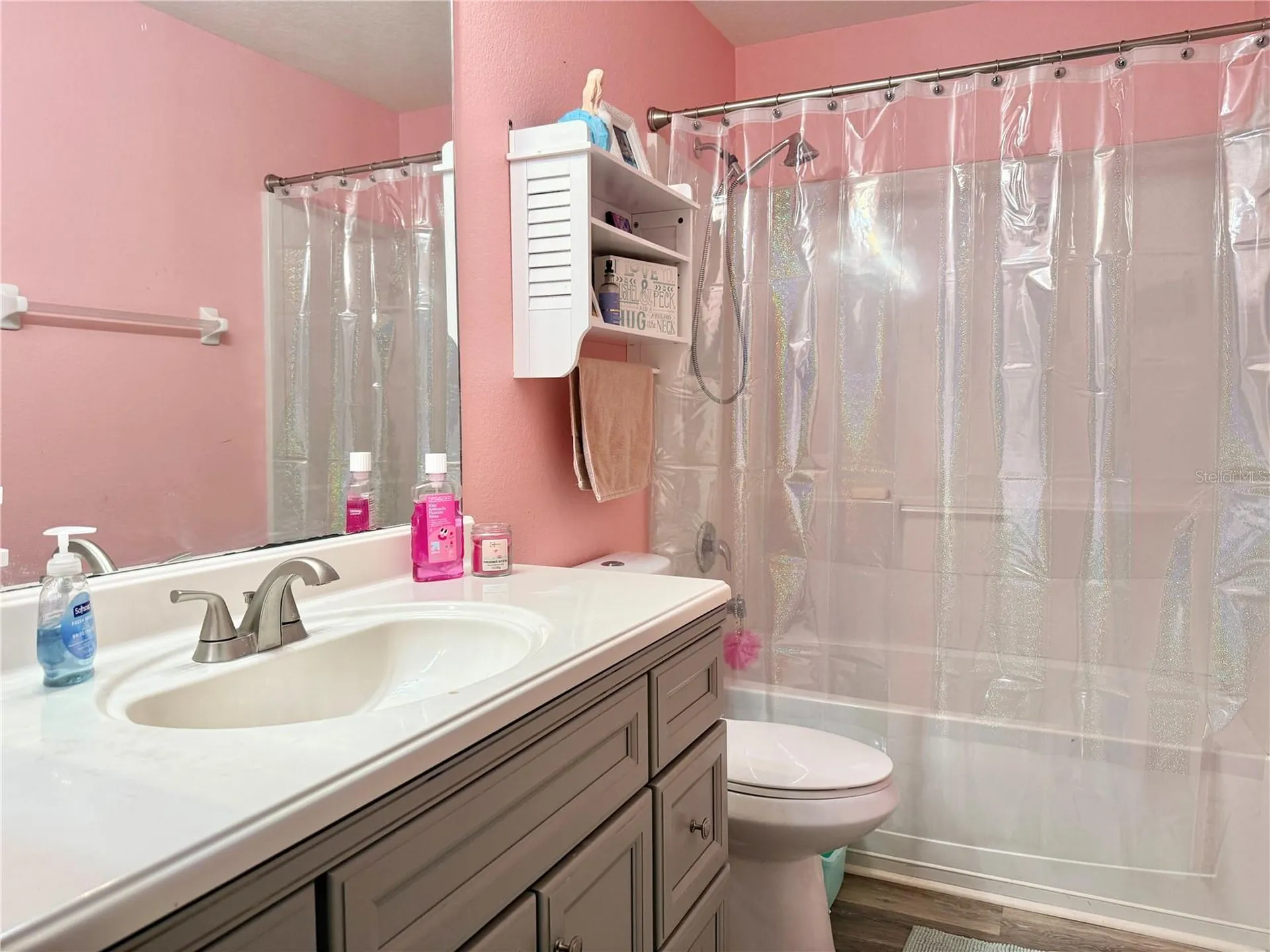6956 Towne Lake Road Riverview FL 33578