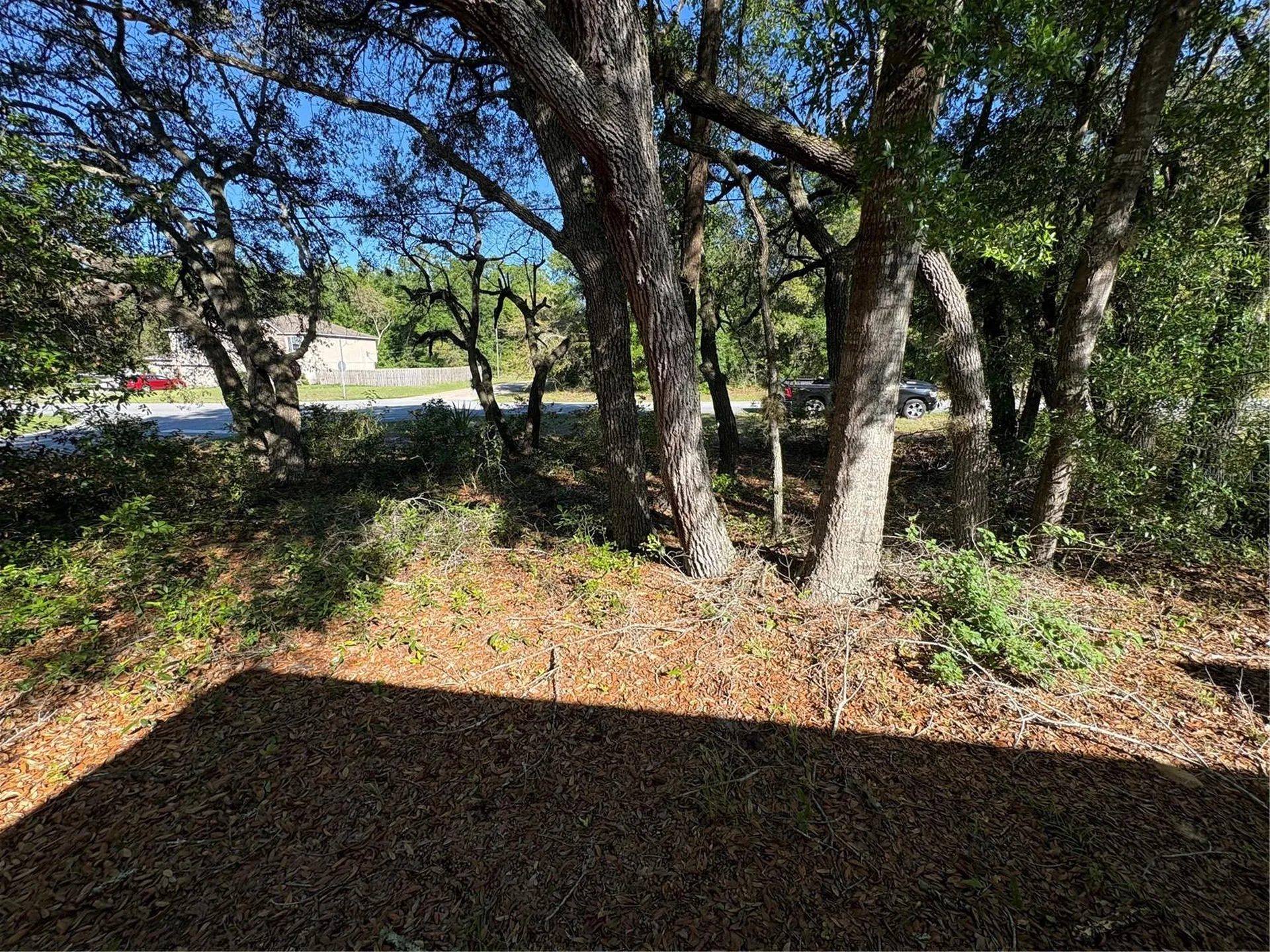 2758 W Century Boulevard Citrus Springs FL 34434