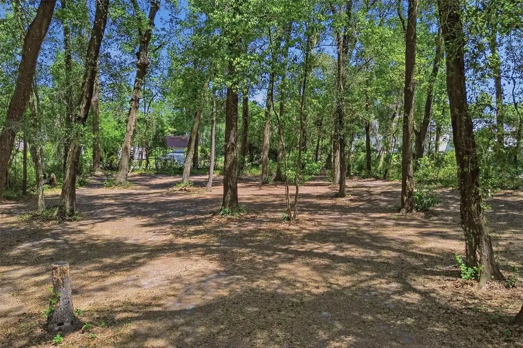1433 S Ridgewood Avenue Deland FL 32720