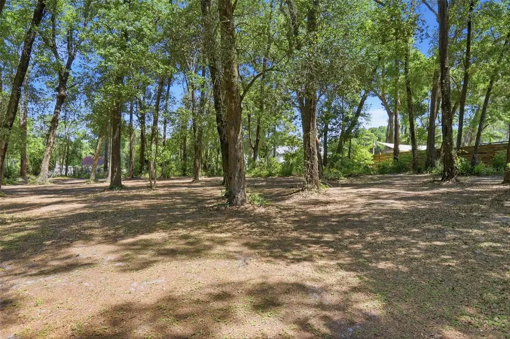 1433 S Ridgewood Avenue Deland FL 32720
