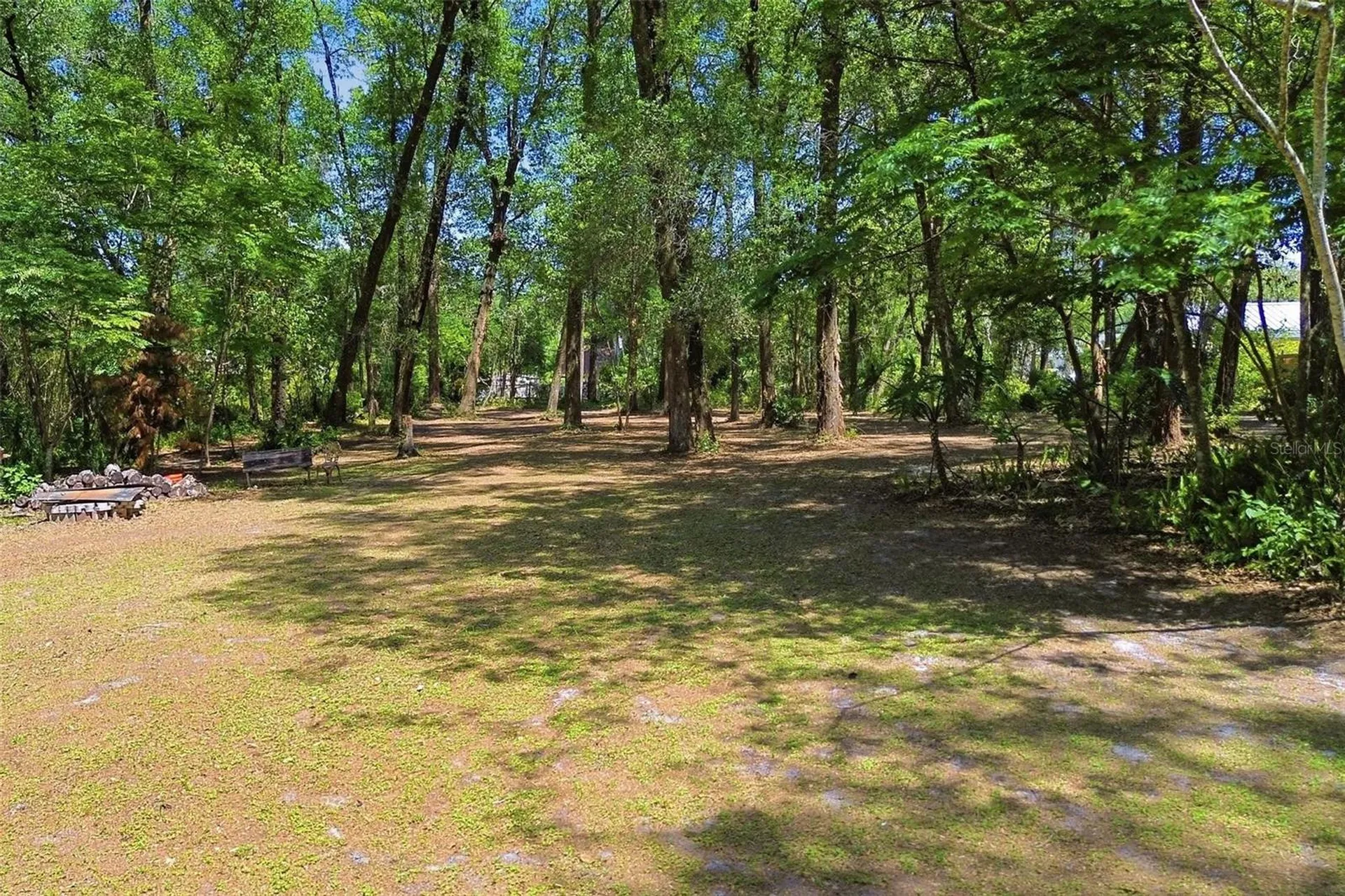 1433 S Ridgewood Avenue Deland FL 32720