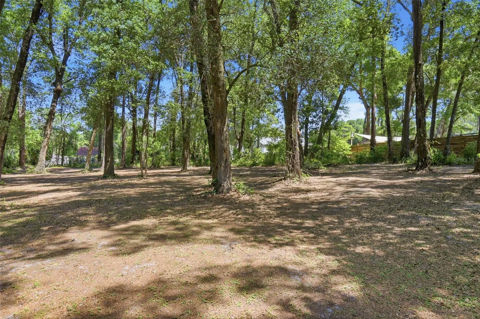 1433 S Ridgewood Avenue Deland FL 32720
