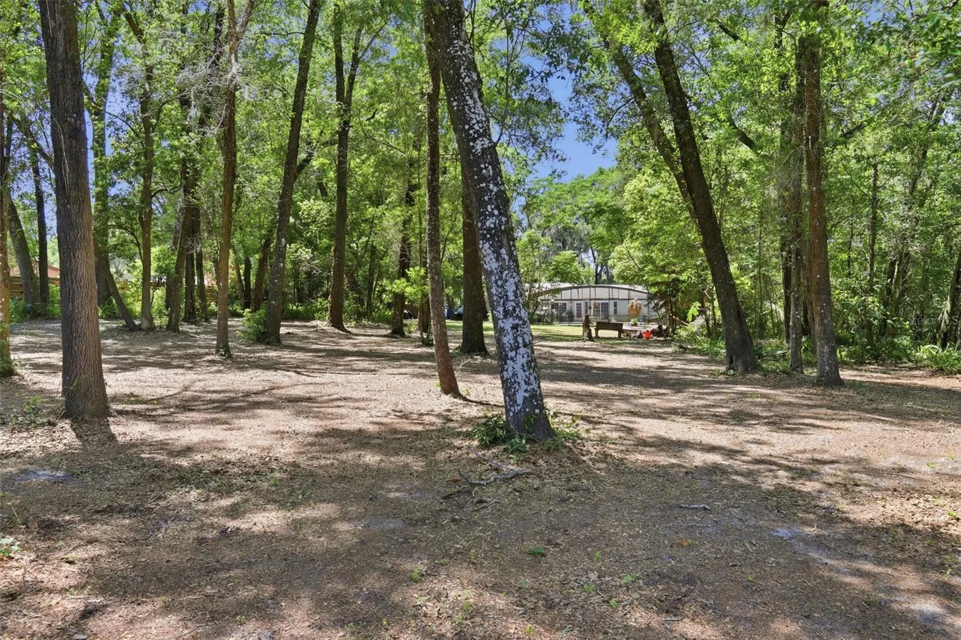 1433 S Ridgewood Avenue Deland FL 32720