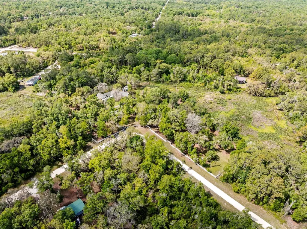7347 Packingham Drive Webster FL 33597