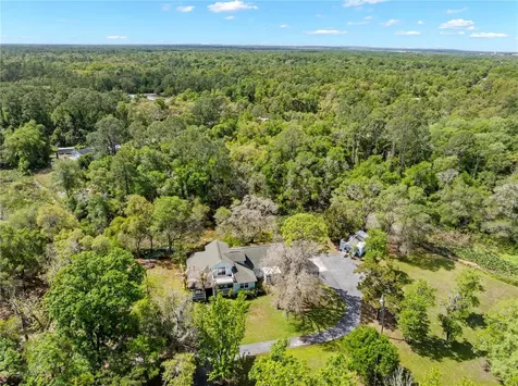 7347 Packingham Drive Webster FL 33597
