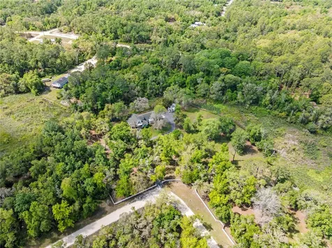7347 Packingham Drive Webster FL 33597