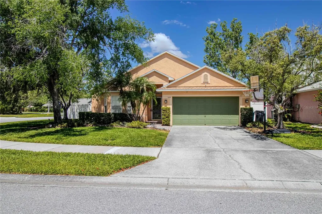 509 Cypress View Drive Oldsmar FL 34677
