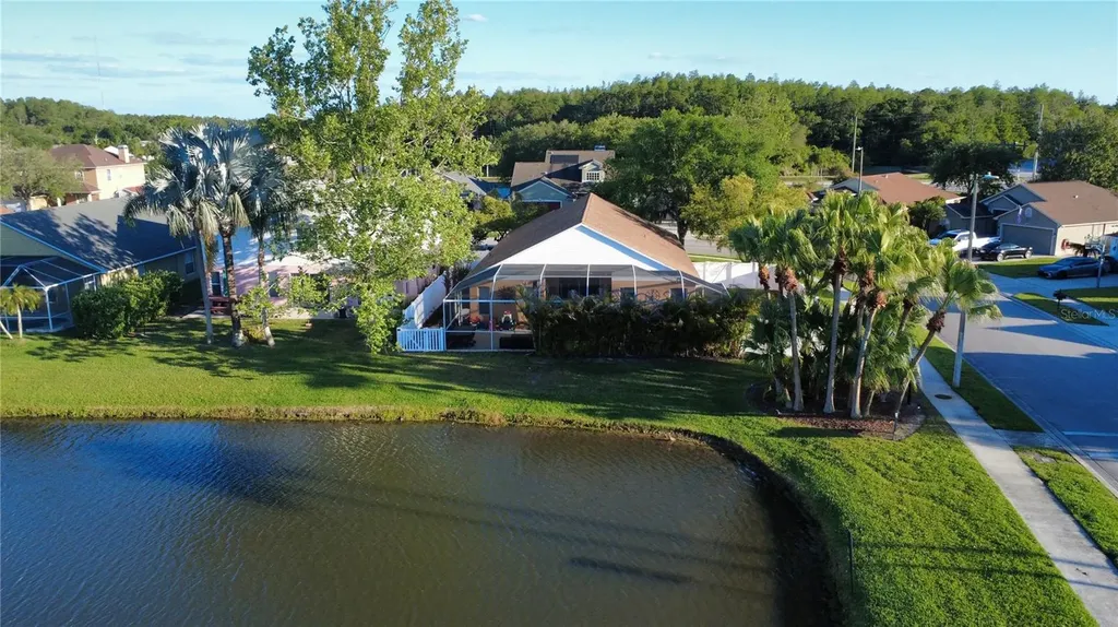 509 Cypress View Drive Oldsmar FL 34677
