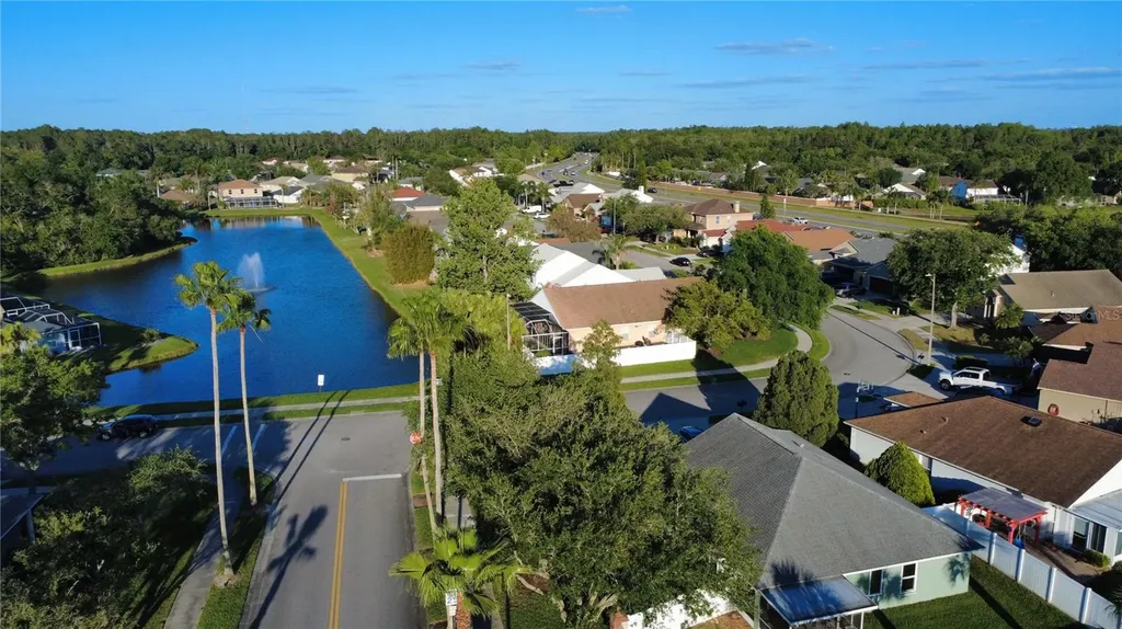 509 Cypress View Drive Oldsmar FL 34677