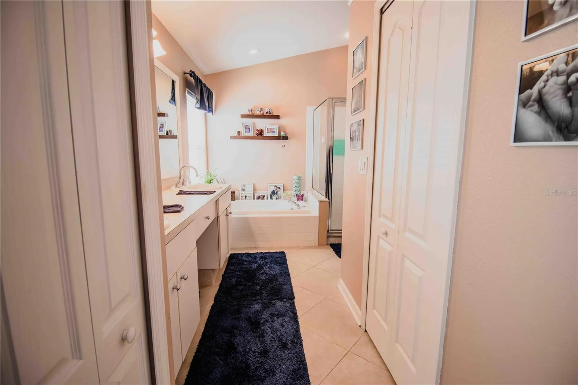 509 Cypress View Drive Oldsmar FL 34677