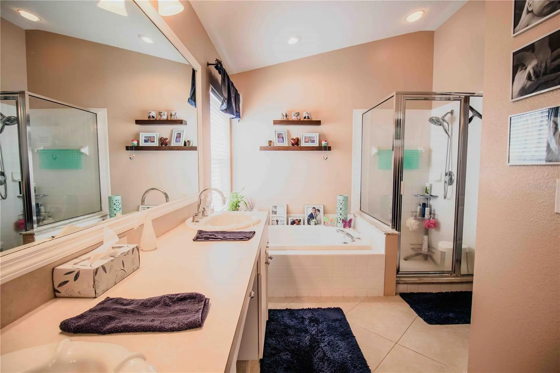 509 Cypress View Drive Oldsmar FL 34677