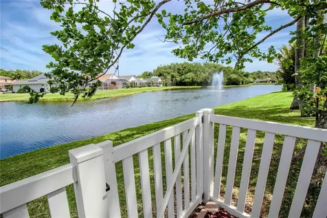 509 Cypress View Drive Oldsmar FL 34677