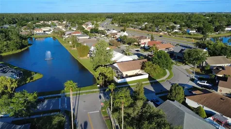 509 Cypress View Drive Oldsmar FL 34677
