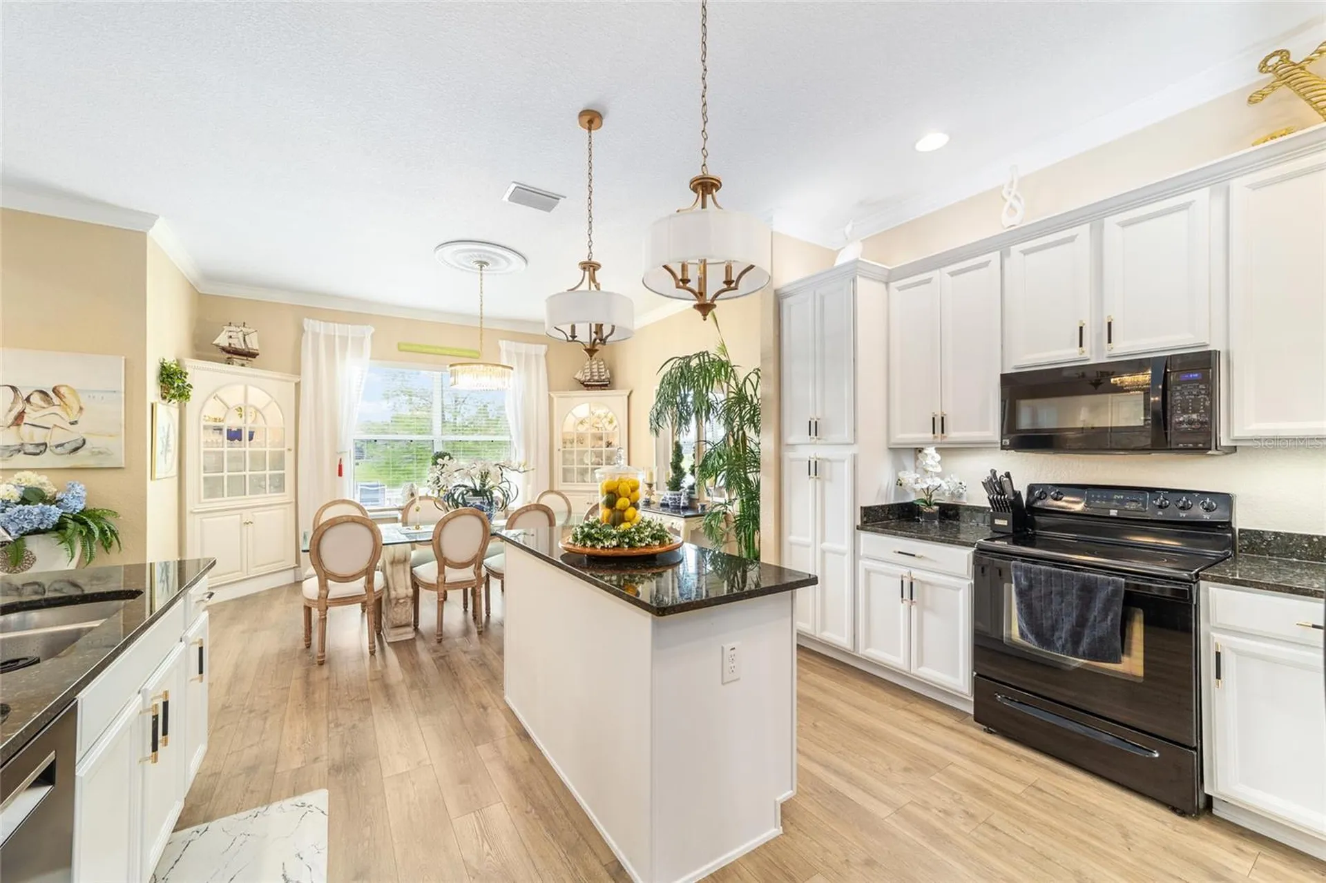 10174 Lake Miona Way Oxford FL 34484