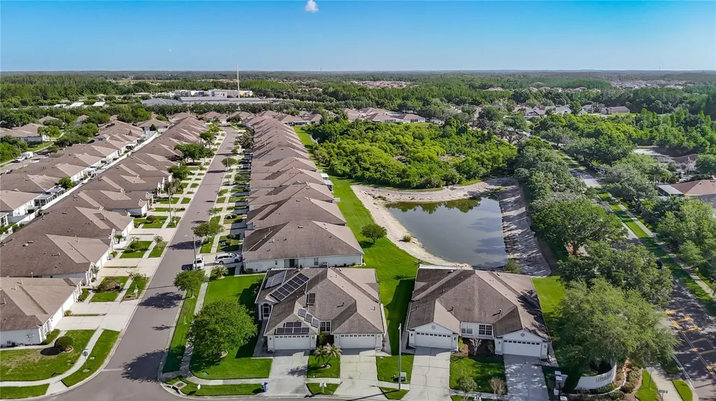1931 Sassafras Drive Wesley Chapel FL 33543