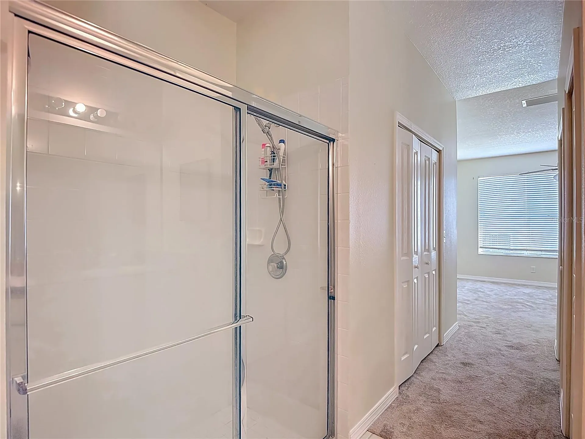 1931 Sassafras Drive Wesley Chapel FL 33543