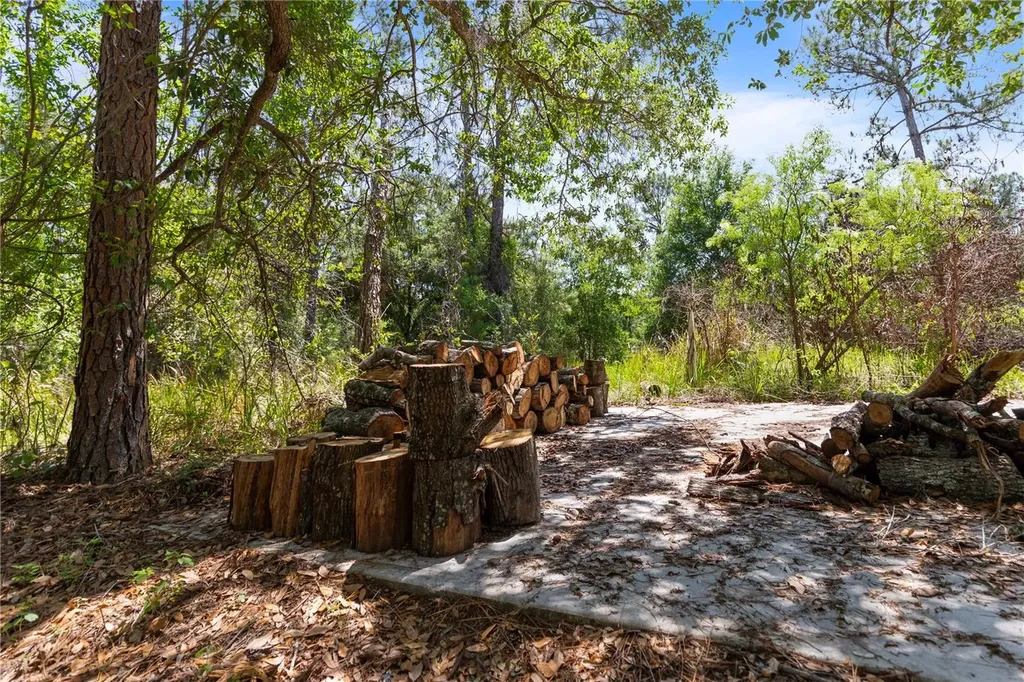 9121 Florida Boys Ranch Road Clermont FL 34711
